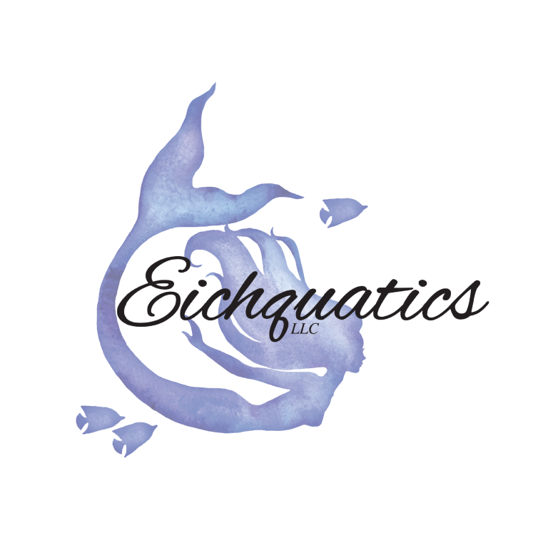 Eichquatics